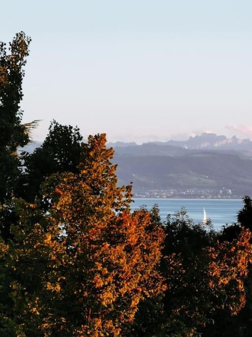 Wohnen Direkt Am Uferpark Mit Grossem Balkon Und Seeblick FDH Exteriör bild